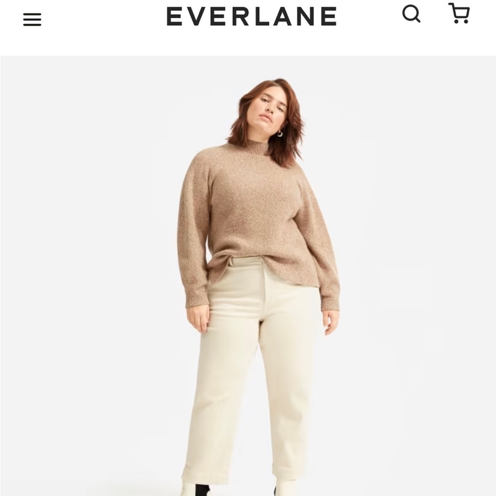 Everlane Straight Leg Crop Size 2 in Sandstone